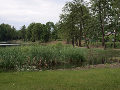 Zdjęcie: _1013342.JPG