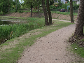 Zdjęcie: _1013345.JPG