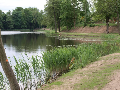 Zdjęcie: _1013346.JPG