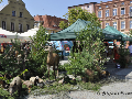 Zdjęcie: 1_03.jpg