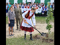 Zdjęcie: c9.jpg