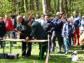 Zdjęcie: 