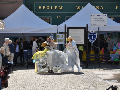 Zdjęcie: DSC_9247.JPG