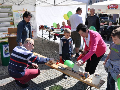 Zdjęcie: DSC_9395.JPG