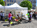 Zdjęcie: DSC_9483.JPG
