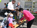 Zdjęcie: DSC_9516.JPG