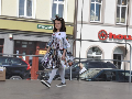 Zdjęcie: DSC_9724.JPG