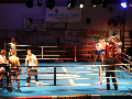 Zdjęcie: IMG_1087.JPG