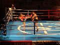 Zdjęcie: IMG_1193.JPG
