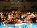 Zdjęcie: IMG_1347.JPG