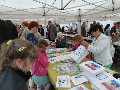 Zdjęcie: costerina2016_08.jpg