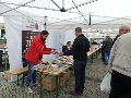 Zdjęcie: costerina2016_22.jpg