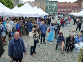 Zdjęcie: costerina2016_36.jpg