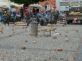 Zdjęcie: DSC_0321-800.jpg