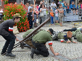 Zdjęcie: DSC_0345-800.jpg
