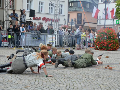 Zdjęcie: DSC_0359-800.jpg