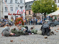 Zdjęcie: DSC_0419-800.jpg