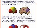 Zdjęcie: b5.jpg
