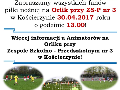 Zdjęcie: 