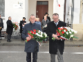 Zdjęcie: c5.jpg