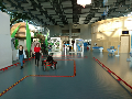 Zdjęcie: DSC_0561.JPG