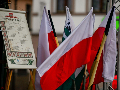 Zdjęcie: 28-01-2018_0112.jpg