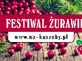 Zdjęcie: 
