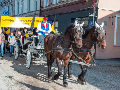 Zdjęcie: DSC_7645.jpg