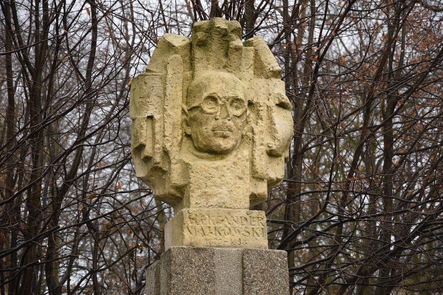 Zdjęcie